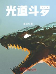 光道斗罗