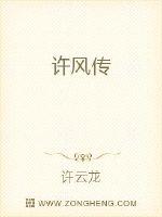许风传