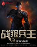 战狼兵王
