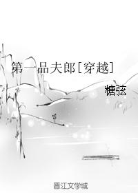 第一品夫郎[穿越]