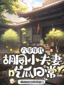 六零胡同小夫妻日常