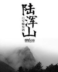 陆浑山
