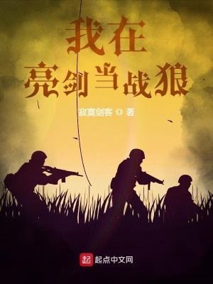 我在亮剑当战狼全文