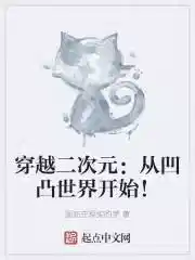 穿越二次元：从凹凸世界开始！