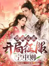 综武反派：开局征服宁中则