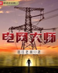 电网大师