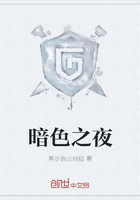 暗色之夜