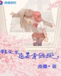 韩先生追妻套路深