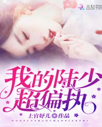 我的陆少超偏执