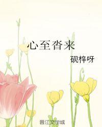 心至沓来